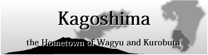About Kagoshima